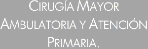 Cirugía mayor ambulatoria y atención primaria, 2008.