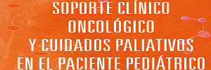 Soporte clínico oncológico y cuidados paliativos  en el paciente pediátrico, Instituto nacional del cáncer -2013