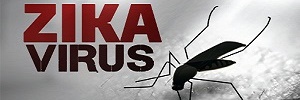 Cinco preguntas esenciales sobre el virus de zika que los médicos familiares deberían responder a sus pacientes, aten fam- 2016