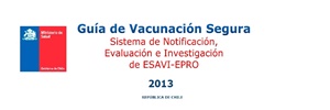 Guía de vacunación segura. Sistema de notificación, evaluación e investigación de ESAVI-EPRO – MINSAL Chile 2013