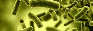 Micobacterias atípicas de secreción mamaria identificadas en el primer nivel de atención Reporte de seis casos, Aten fam- 2017