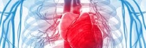 Comorbilidad cardiovascular en pacientes con enfermedad pulmonar obstructiva crónica en Canarias, Clin Investig Arterioscler- 2017