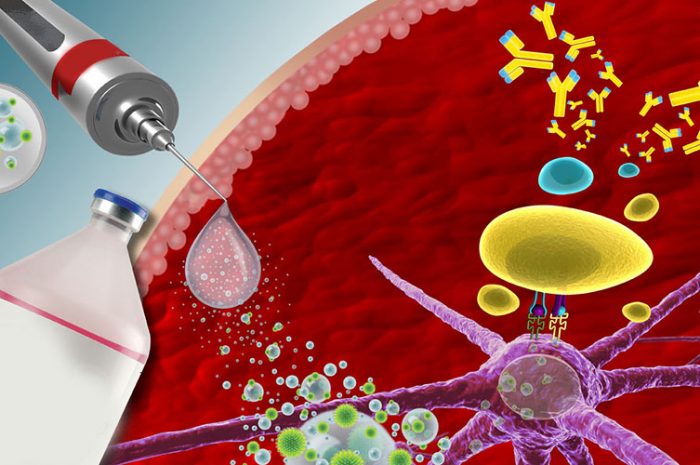 Adyuvantes inmunológicos. Determinantes en el balance eficacia-toxicidad de las vacunas contemporáneas. Enferm Infecc Microbiol Clin. 2014