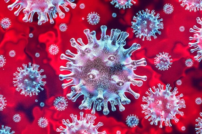 Caracterización patogénica, clínica y diagnóstica de la pandemia por SARS-CoV-2 Rev Chilena Infectol 2020